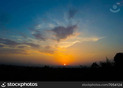 Rice field in the evening.