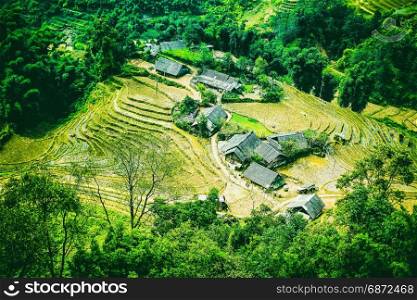 Rice field terraces at Sapa Vietnam