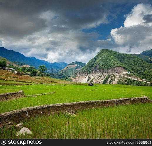 Rice field terraces (rice paddy). Near Cat Cat village, near Sapa, Vietnam