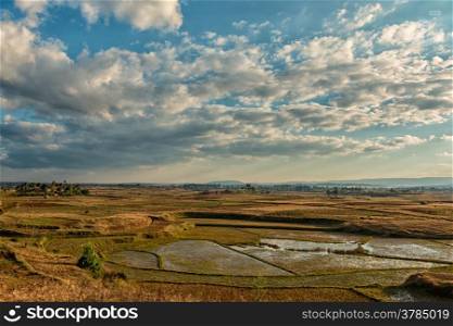 Rice fields embedded in the beautiful hilly landscape of the highlands of Madagascar.