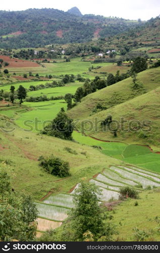 Rice fields on the slopes of mountain in Shan state, Myanmar