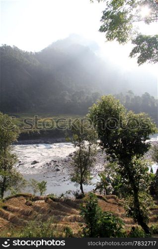 Rice fiels and mountain river in Nepal