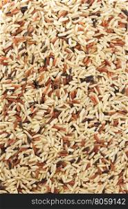rice grain as background texture