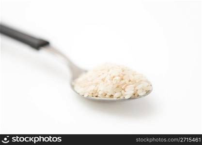 Rice in spoon
