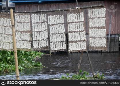 Rice noodles on the net near hut on the Inle lake, Myanmar