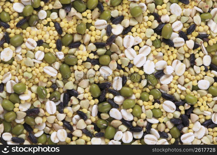 Rice of staple grains