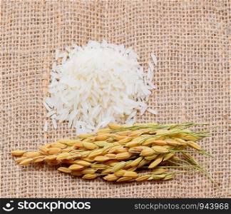 rice plants, grains of Thai jasmine rice