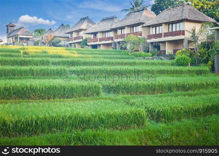 Rice terrace and village in Cordillera mountains in Bali Indonesia