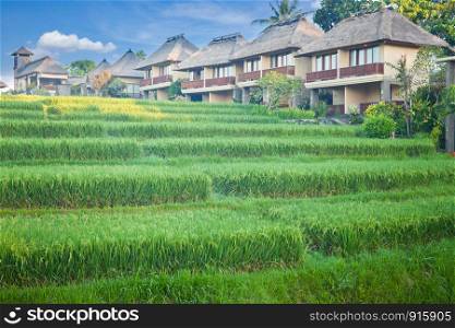 Rice terrace and village in Cordillera mountains in Bali Indonesia