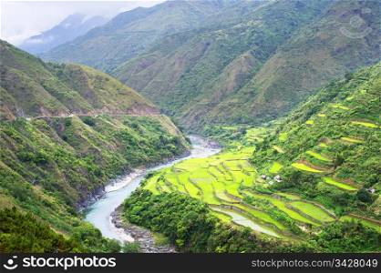 Rice terrace in Cordillera mountains, Luzon, Philippines