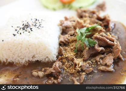 rice with fried pork