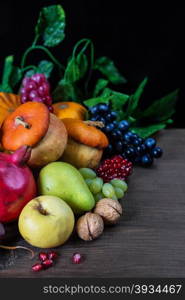 Rich harvest of various fruits and vegetables: decorative pumpkins, squash, apples, pears, pomegranates and grapes on the dark wooden background