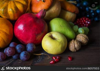Rich harvest of various fruits and vegetables: decorative pumpkins, squash, apples, pears, pomegranates and grapes on the dark wooden background
