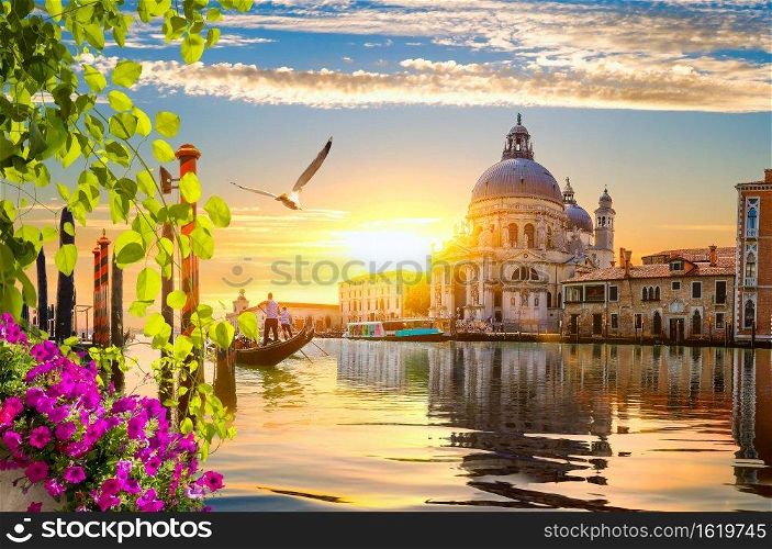 Ride on gondolas along the Grand Canal in Venice, Italy. Grand canal and flowers