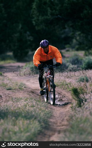 Rider on Single Track