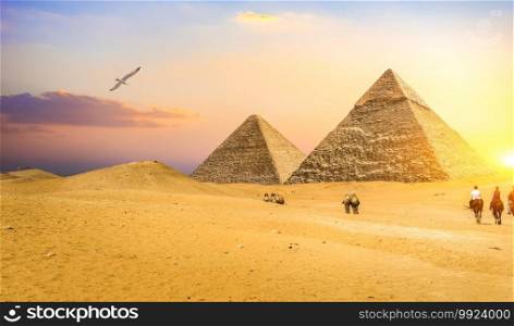 Riders near great egyptian pyramids at sunset. Riders near pyramids