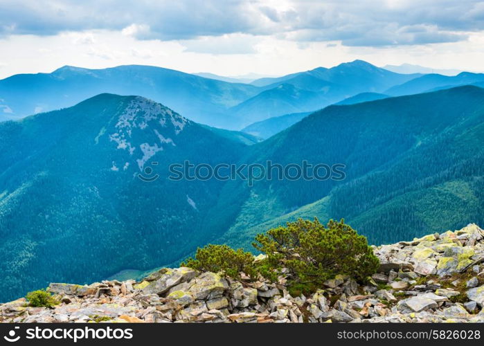 Ridge of blue mountains covered with green forest. Ukraine, Carpathian