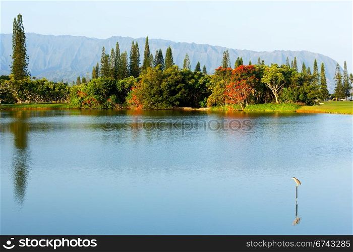 Ridges of the Na Pali mountains from Princeville in Kauai with lake, bird and flowering trees