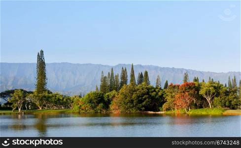 Ridges of the Na Pali mountains from Princeville in Kauai with lake and flowering trees