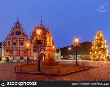 Riga. Christmas tree at the Town Hall Square.. Christmas tree at the Town Hall Square in the night illumination. Riga. Latvia.