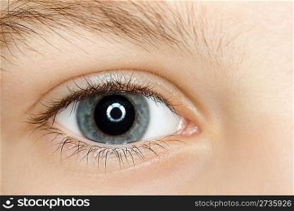 right blue eye of child with long eyelashes close up