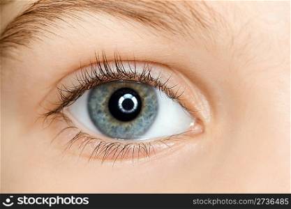 right blue eye of child with long eyelashes close up