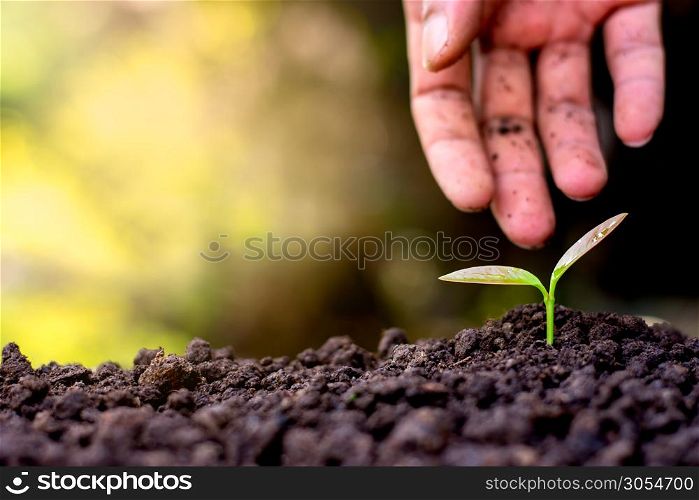 Right hand man planted seedlings into the soil with a sunny yellow background.