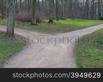 Right or left. A fork in the road in a forest