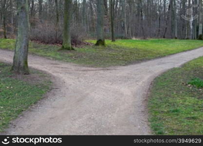 Right or left. A fork in the road in a forest