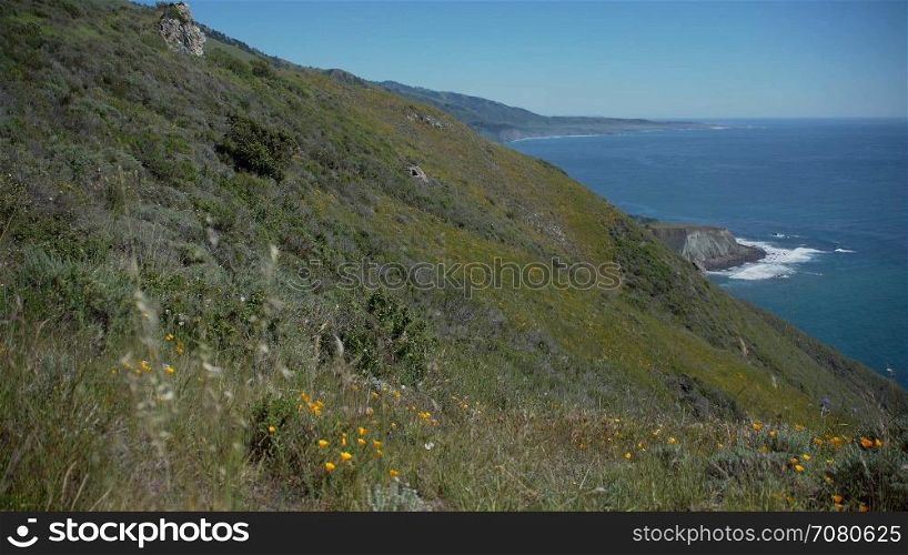 Right pan of pacific ocean and poppies
