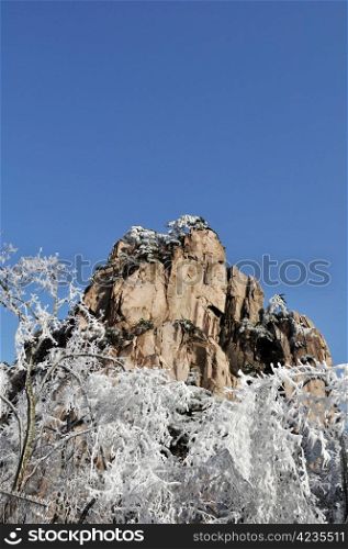 Rime and mountain in winter against blue sky
