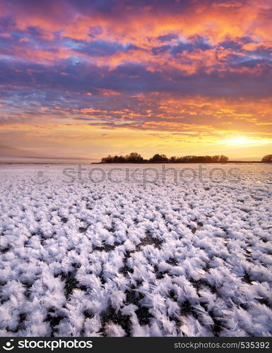 Rime on frozen ice. Nature composition.