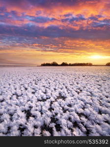 Rime on frozen ice. Nature composition.