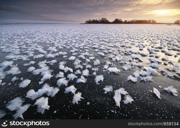 Rime on frozen ice. Nature composition.