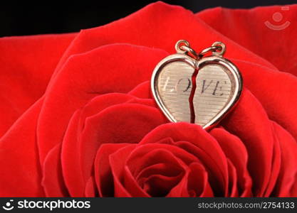 Ring in a red rose. A jewelry on a blossoming bud of a flower