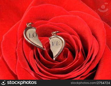 Ring in a red rose. A jewelry on a blossoming bud of a flower