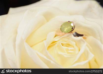 Ring in a white rose. A jewelry on a blossoming bud of a flower