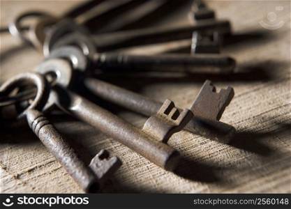 Ring Of Old Keys