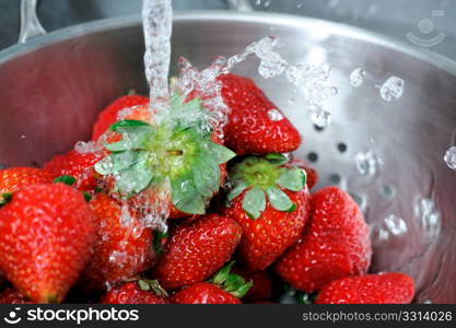Rinsing Strawberries. Fresh clear water splashing off ripe red strawberries in a stainless steel colander with water drops caught suspended in the air.
