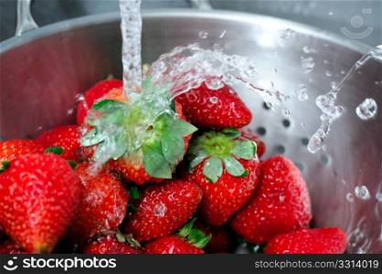Rinsing Strawberry With Water . Fresh clear water splashing off ripe red strawberries in a stainless steel colander with water drops caught suspended in the air.