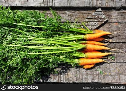 Ripe and fresh organic carrots on old wooden table