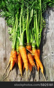 Ripe and fresh organic carrots on old wooden table