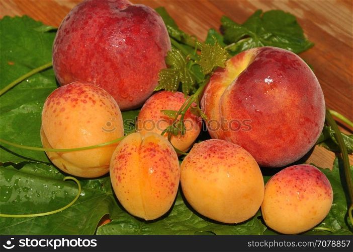 Ripe and juicy apricots and peaches on a wooden countertop