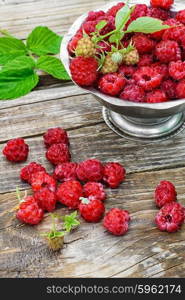 Ripe and juicy raspberries. Full ramekin of berries ripe raspberry on wooden background