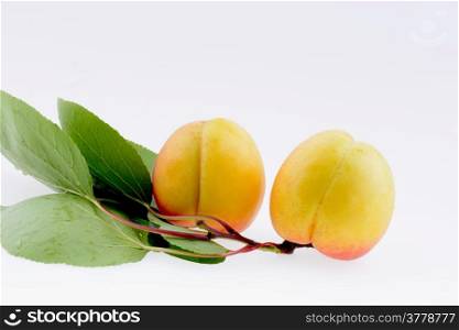 Ripe apricot on a white background