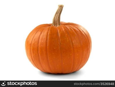 Ripe autumn pumpkin on a white background. Close up.