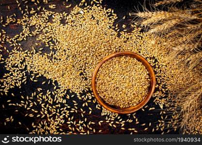 Ripe barley grains in bowl. Top view. On a dark background.. Ripe barley grains in bowl. Top view.