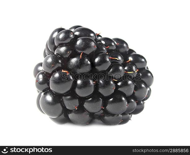 Ripe blackberry isolated on a white background