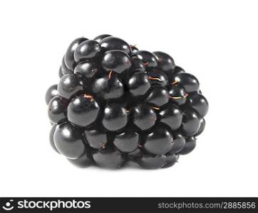 Ripe blackberry isolated on a white background
