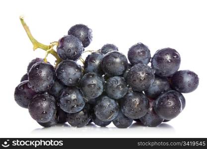 ripe blue grapes over a white background